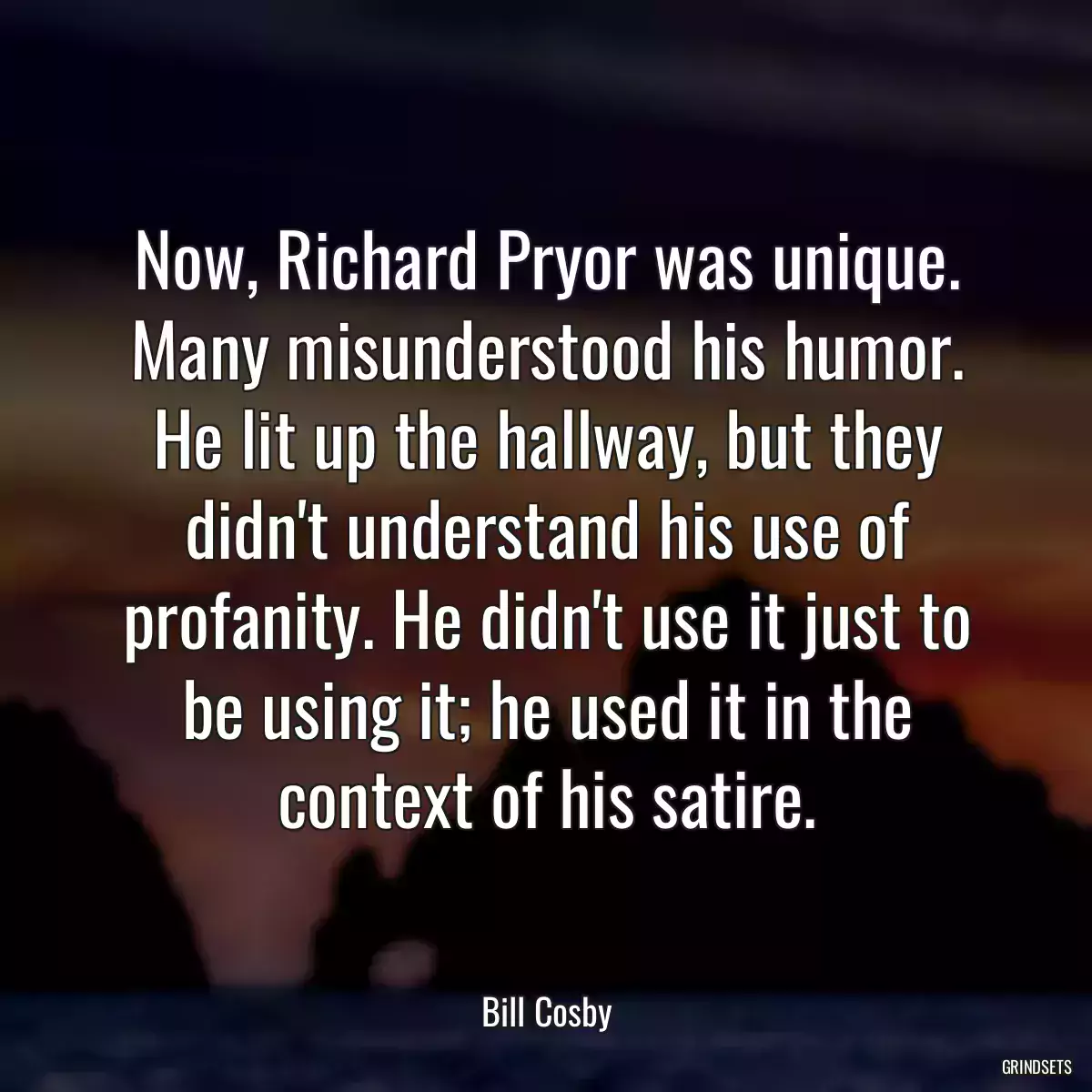 Now, Richard Pryor was unique. Many misunderstood his humor. He lit up the hallway, but they didn\'t understand his use of profanity. He didn\'t use it just to be using it; he used it in the context of his satire.