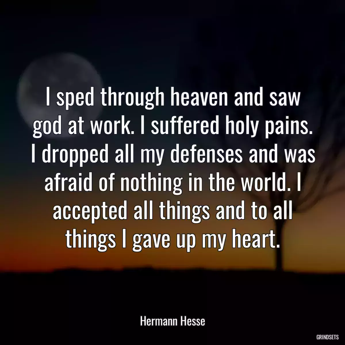 I sped through heaven and saw god at work. I suffered holy pains. I dropped all my defenses and was afraid of nothing in the world. I accepted all things and to all things I gave up my heart.