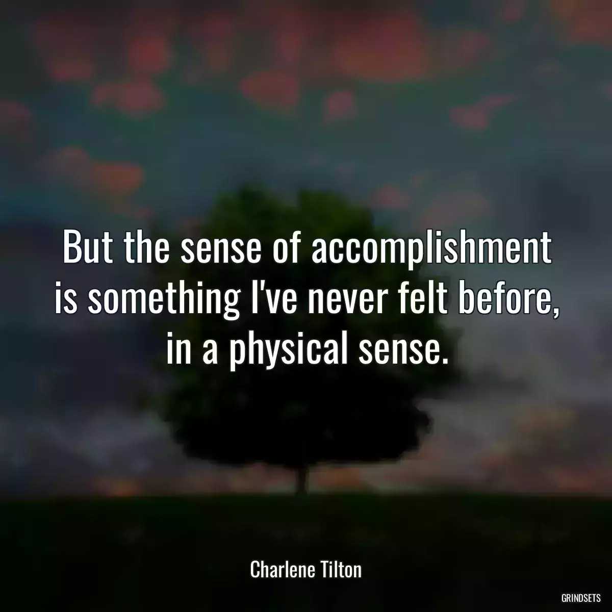 But the sense of accomplishment is something I\'ve never felt before, in a physical sense.