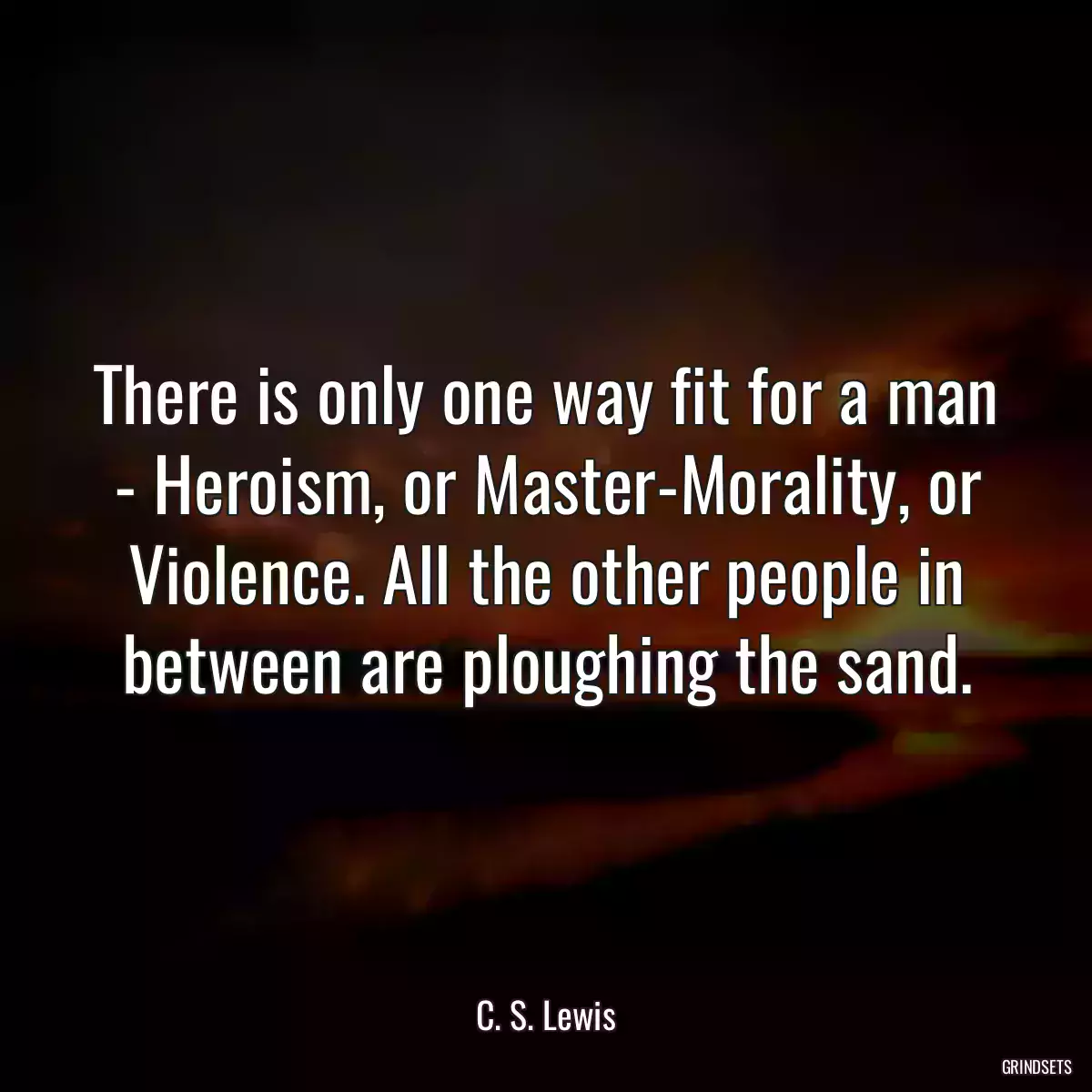 There is only one way fit for a man - Heroism, or Master-Morality, or Violence. All the other people in between are ploughing the sand.