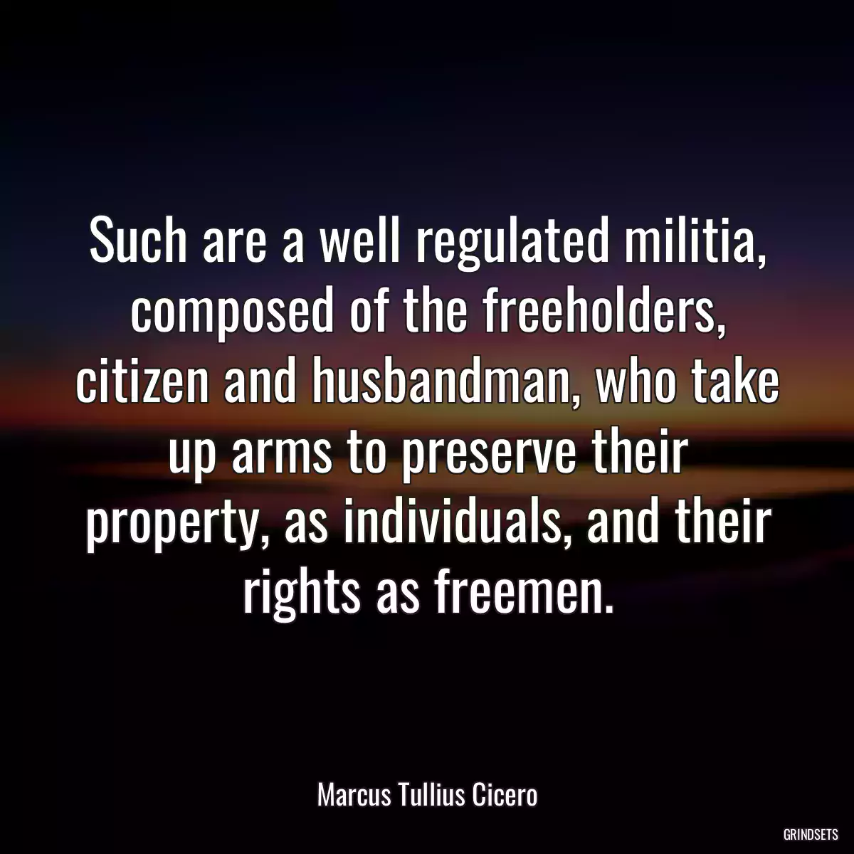 Such are a well regulated militia, composed of the freeholders, citizen and husbandman, who take up arms to preserve their property, as individuals, and their rights as freemen.