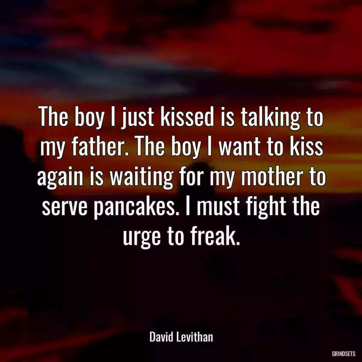 The boy I just kissed is talking to my father. The boy I want to kiss again is waiting for my mother to serve pancakes. I must fight the urge to freak.