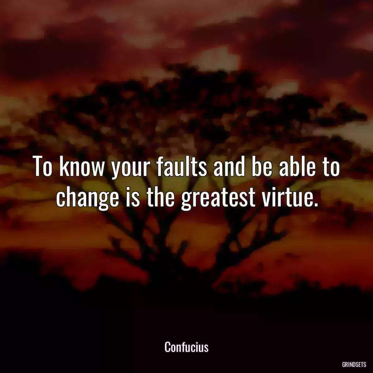 To know your faults and be able to change is the greatest virtue.