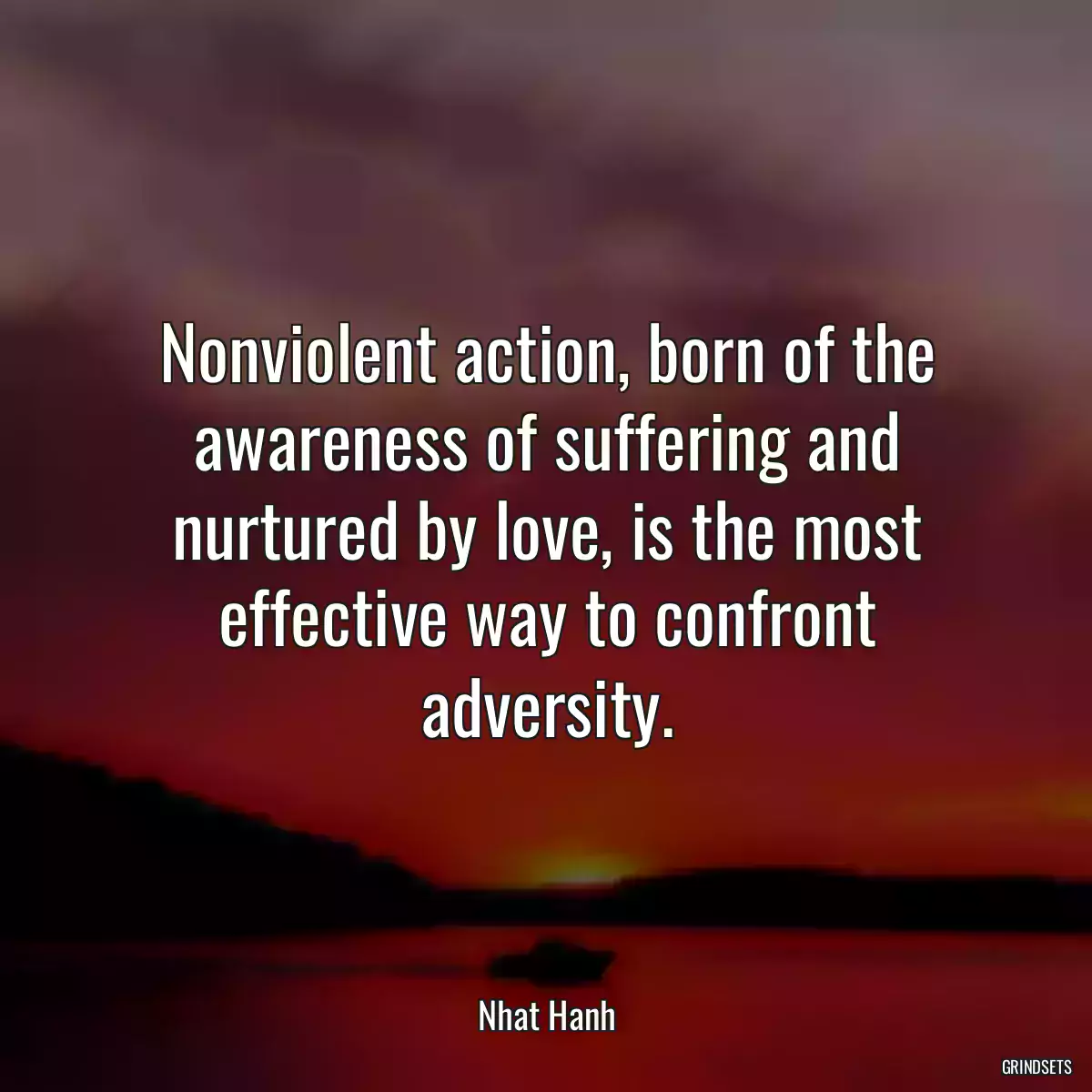 Nonviolent action, born of the awareness of suffering and nurtured by love, is the most effective way to confront adversity.