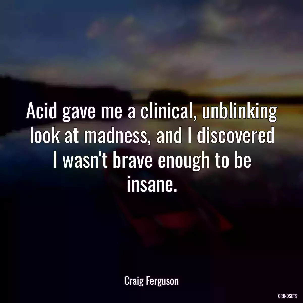 Acid gave me a clinical, unblinking look at madness, and I discovered I wasn\'t brave enough to be insane.