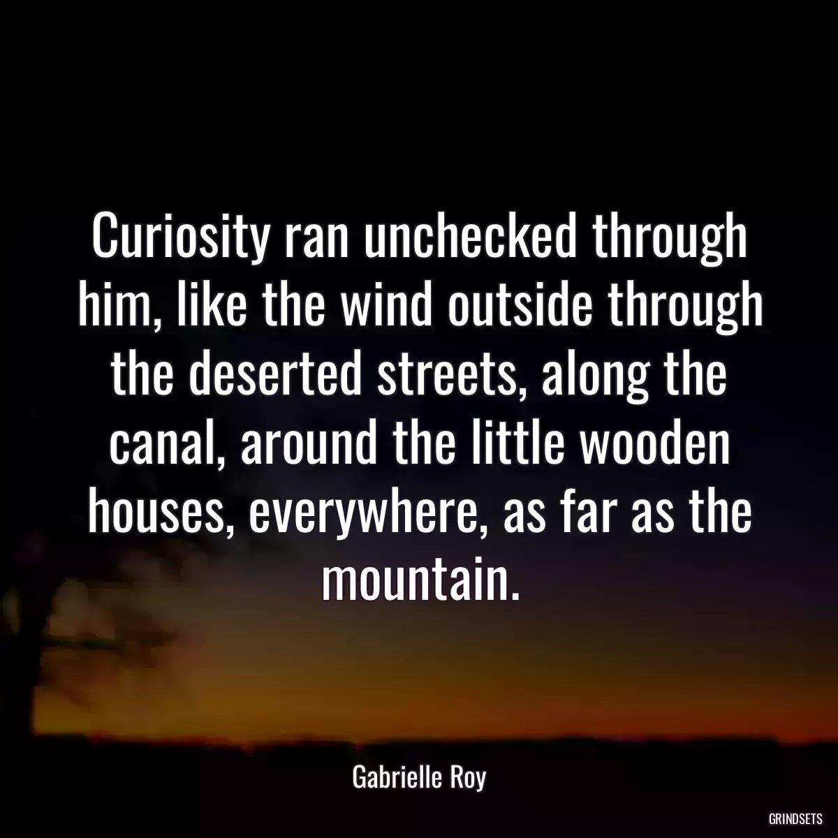 Curiosity ran unchecked through him, like the wind outside through the deserted streets, along the canal, around the little wooden houses, everywhere, as far as the mountain.