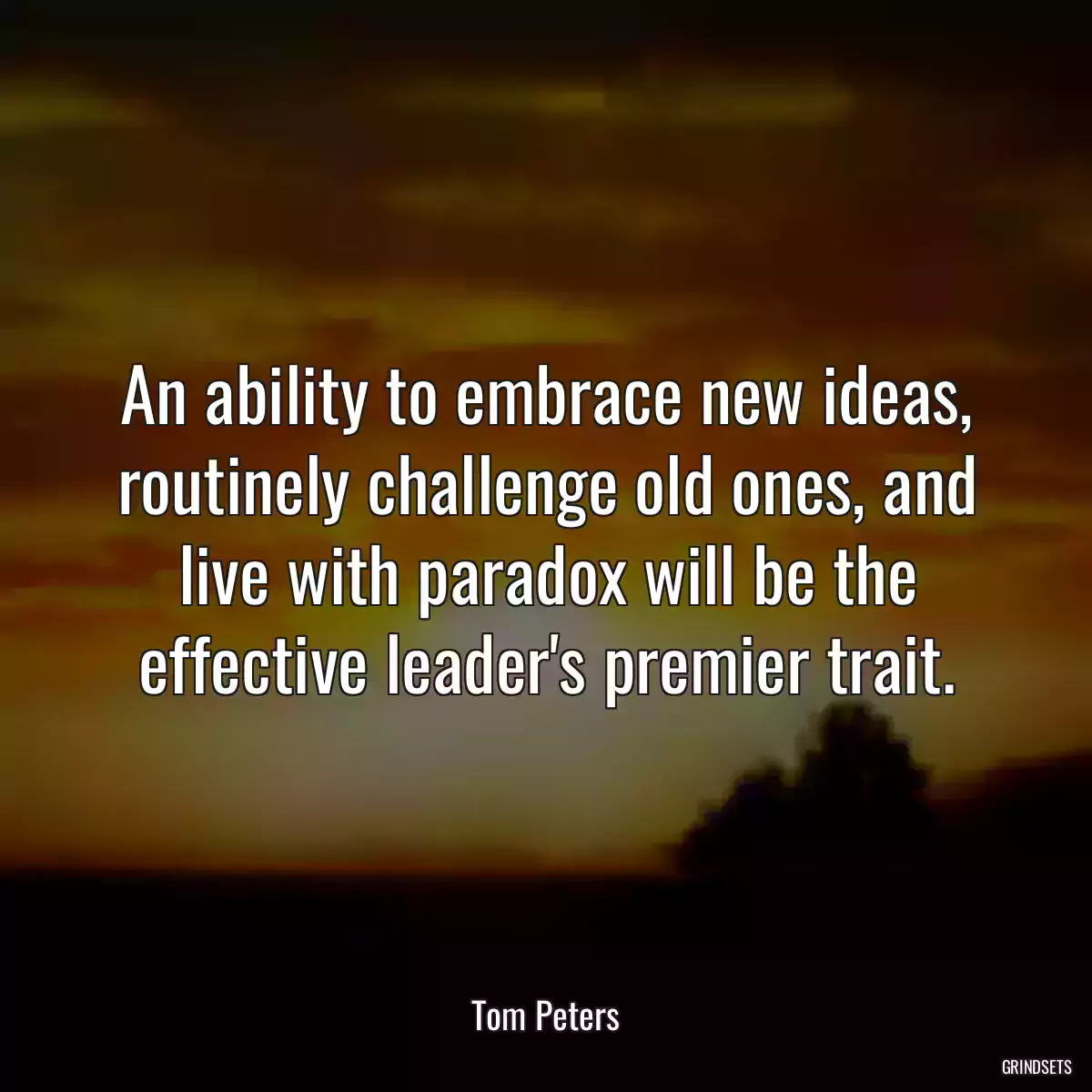 An ability to embrace new ideas, routinely challenge old ones, and live with paradox will be the effective leader\'s premier trait.