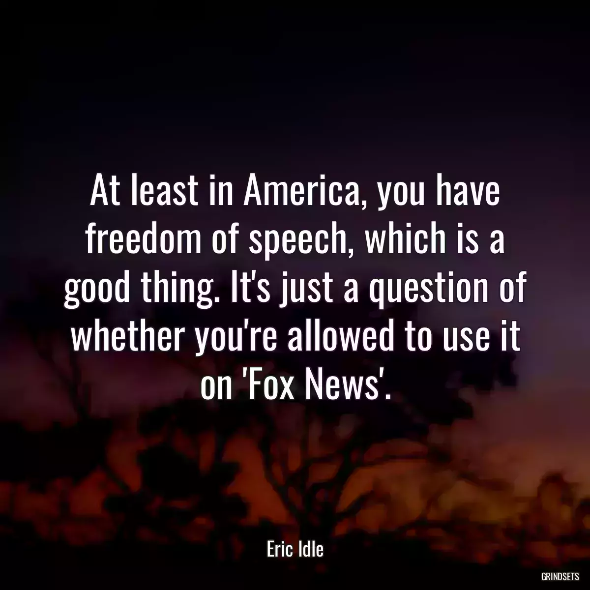 At least in America, you have freedom of speech, which is a good thing. It\'s just a question of whether you\'re allowed to use it on \'Fox News\'.