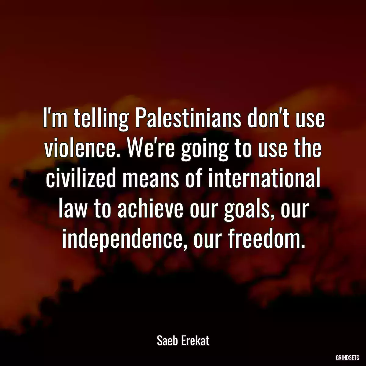 I\'m telling Palestinians don\'t use violence. We\'re going to use the civilized means of international law to achieve our goals, our independence, our freedom.