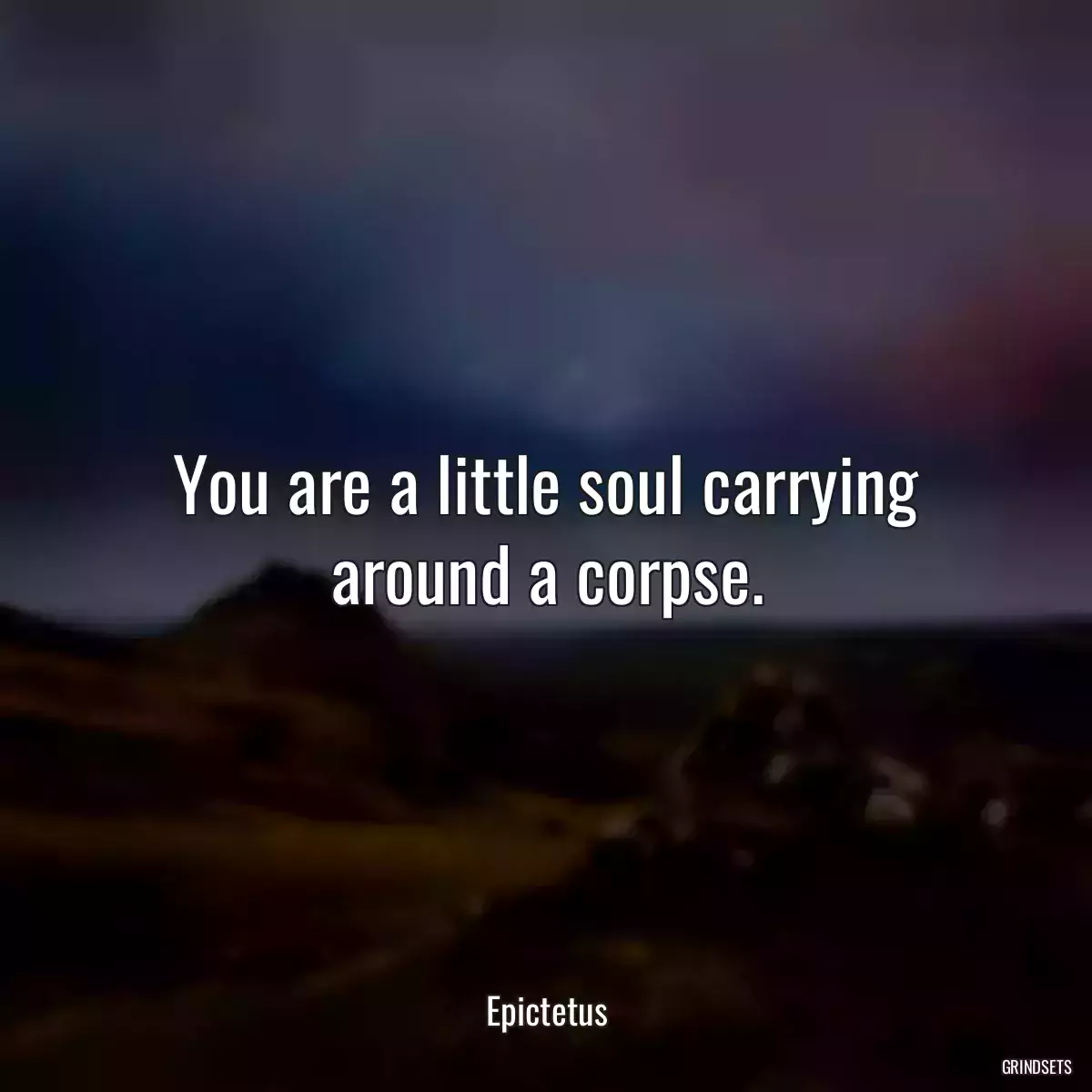 You are a little soul carrying around a corpse.