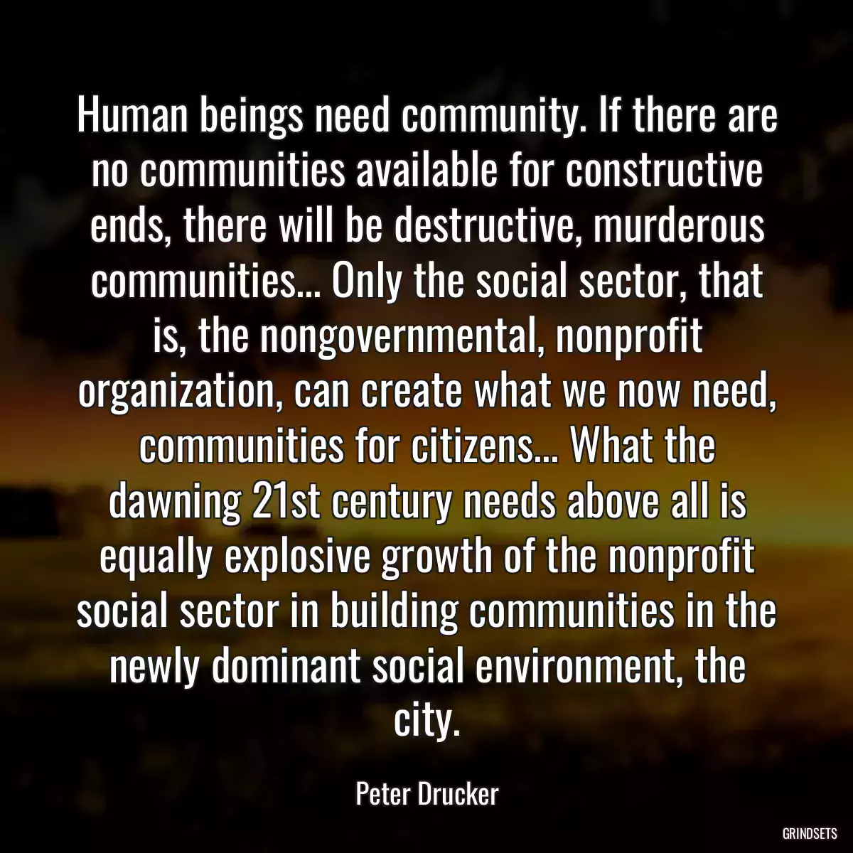 Human beings need community. If there are no communities available for constructive ends, there will be destructive, murderous communities... Only the social sector, that is, the nongovernmental, nonprofit organization, can create what we now need, communities for citizens... What the dawning 21st century needs above all is equally explosive growth of the nonprofit social sector in building communities in the newly dominant social environment, the city.