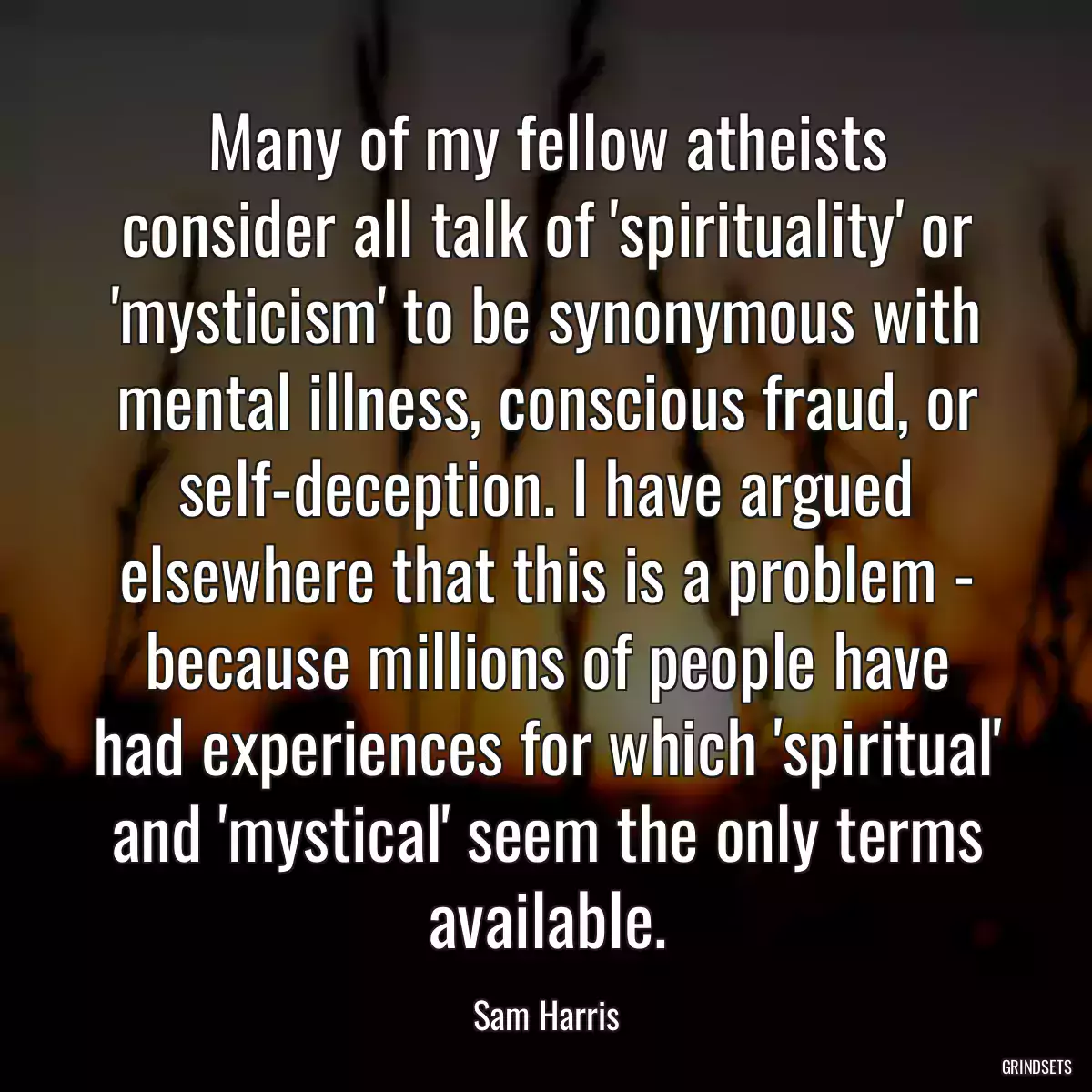 Many of my fellow atheists consider all talk of \'spirituality\' or \'mysticism\' to be synonymous with mental illness, conscious fraud, or self-deception. I have argued elsewhere that this is a problem - because millions of people have had experiences for which \'spiritual\' and \'mystical\' seem the only terms available.