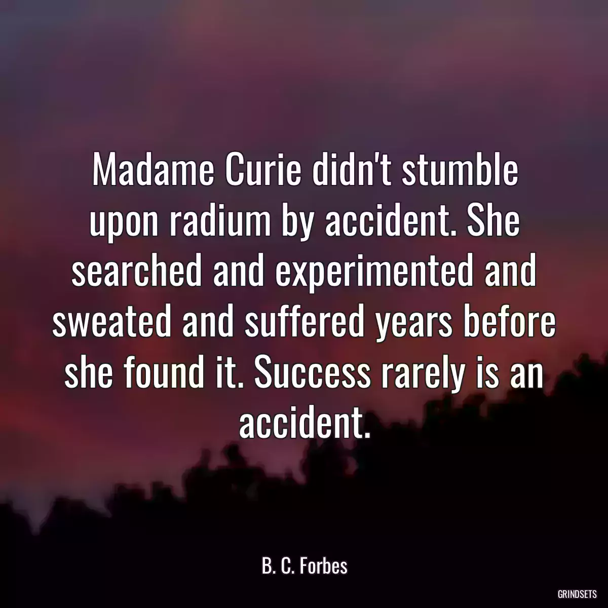 Madame Curie didn\'t stumble upon radium by accident. She searched and experimented and sweated and suffered years before she found it. Success rarely is an accident.