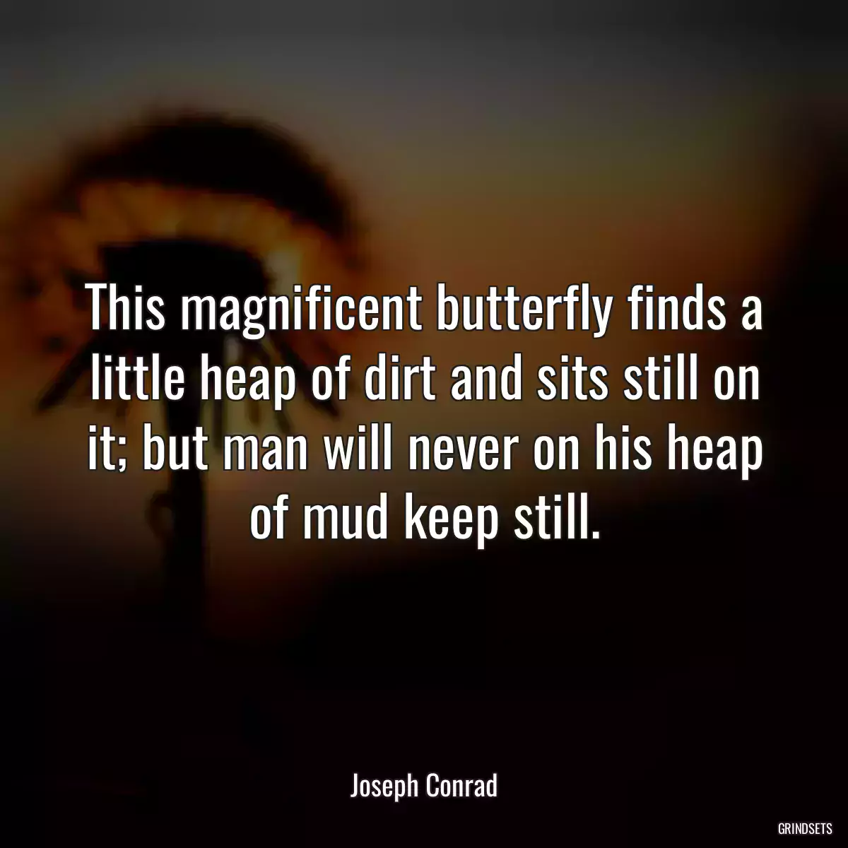 This magnificent butterfly finds a little heap of dirt and sits still on it; but man will never on his heap of mud keep still.