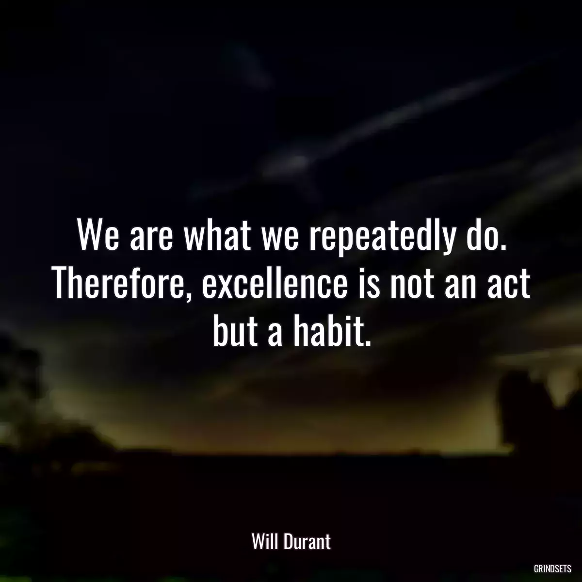 We are what we repeatedly do. Therefore, excellence is not an act but a habit.