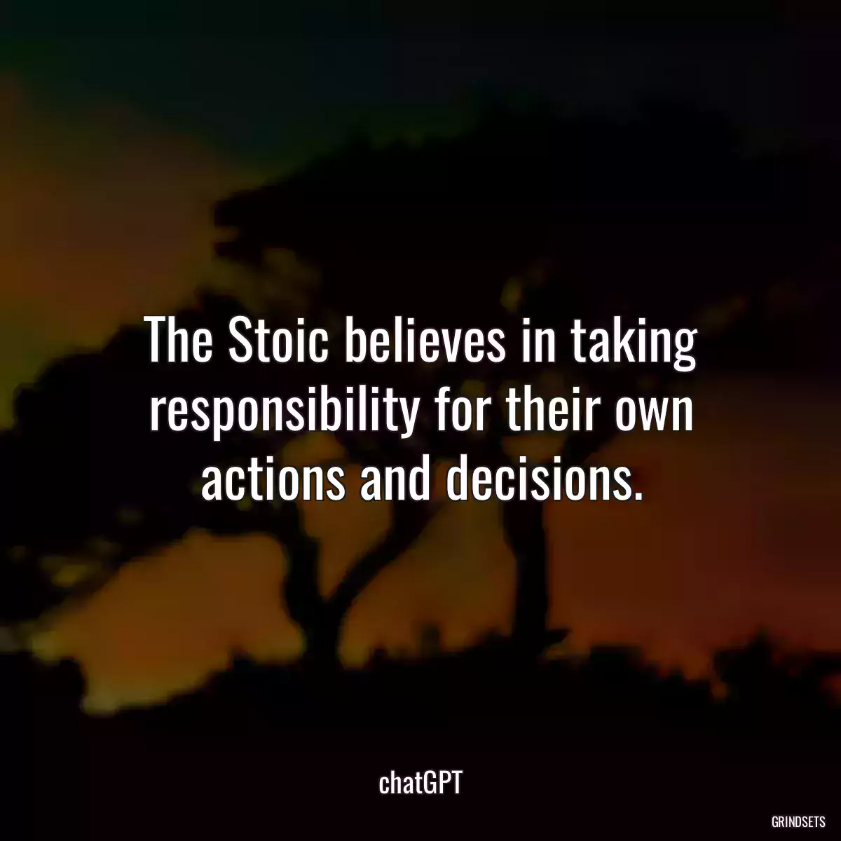 The Stoic believes in taking responsibility for their own actions and decisions.