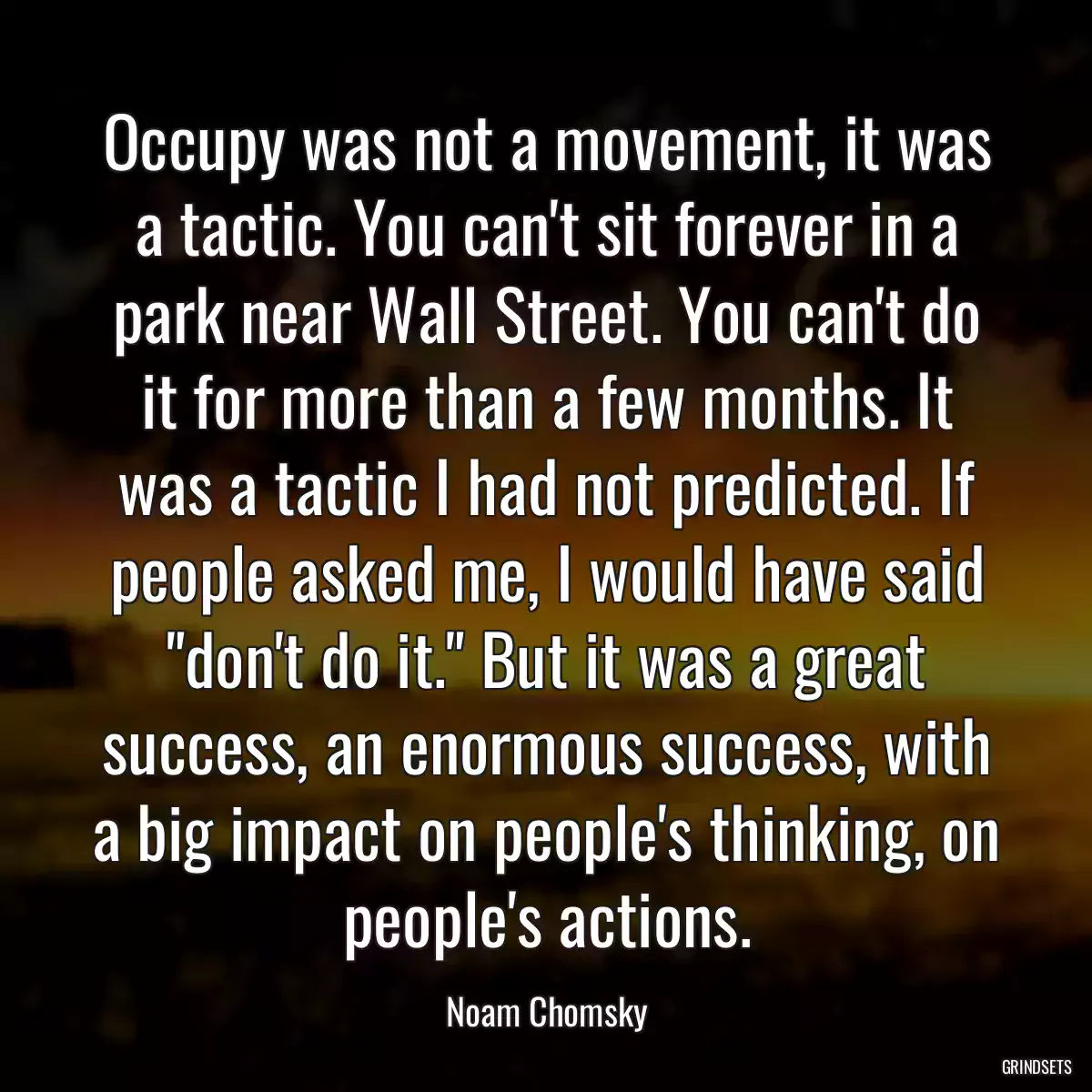 Occupy was not a movement, it was a tactic. You can\'t sit forever in a park near Wall Street. You can\'t do it for more than a few months. It was a tactic I had not predicted. If people asked me, I would have said \