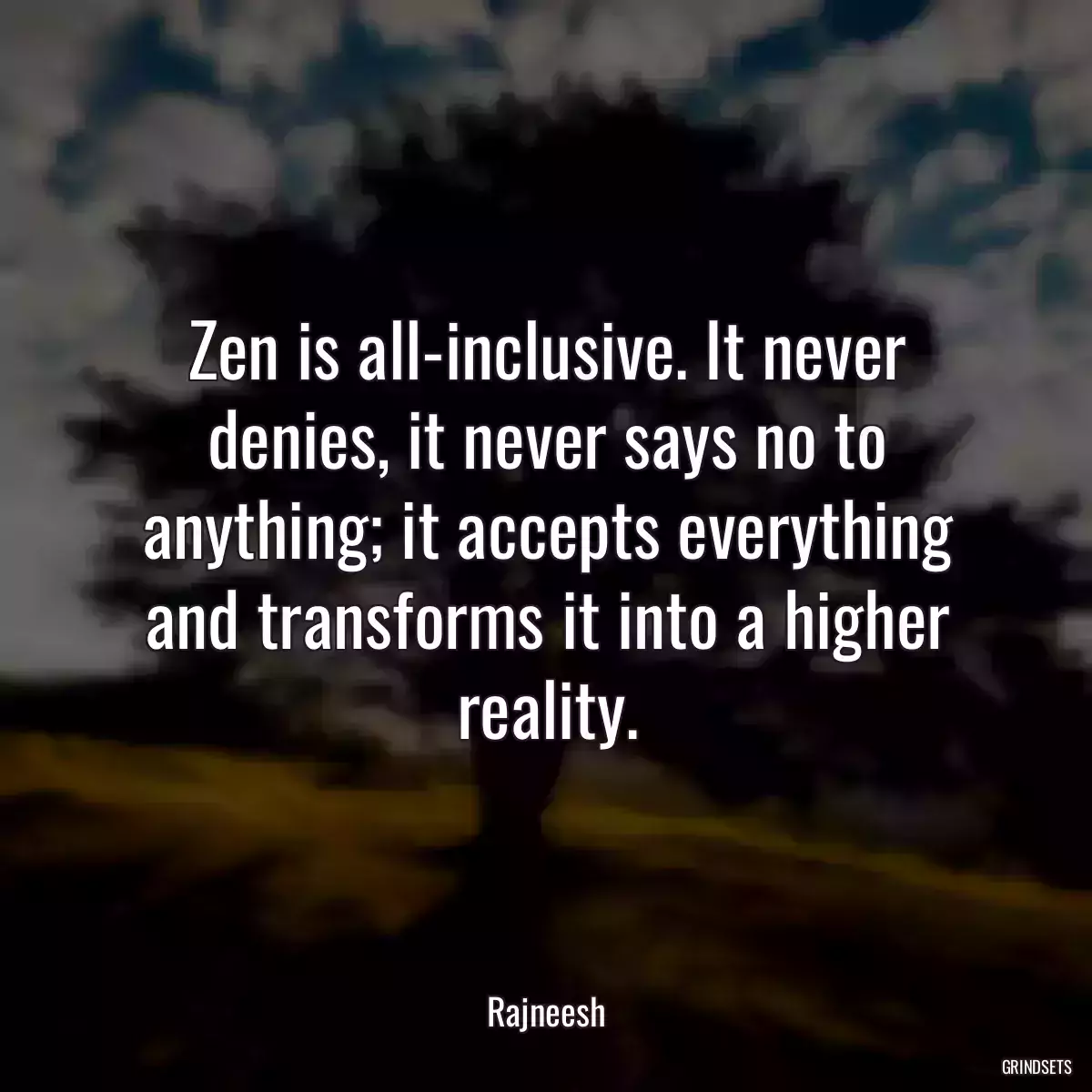 Zen is all-inclusive. It never denies, it never says no to anything; it accepts everything and transforms it into a higher reality.