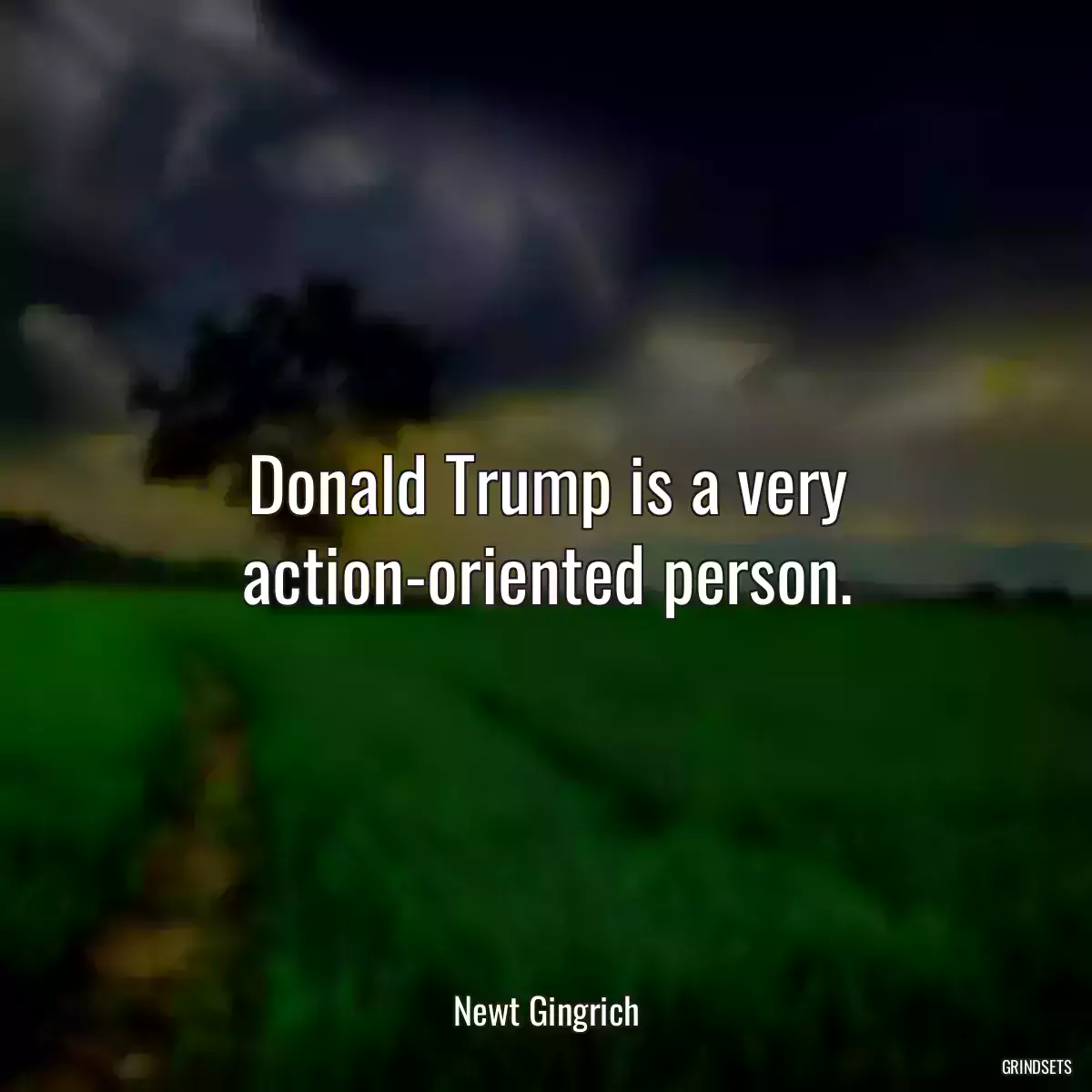 Donald Trump is a very action-oriented person.