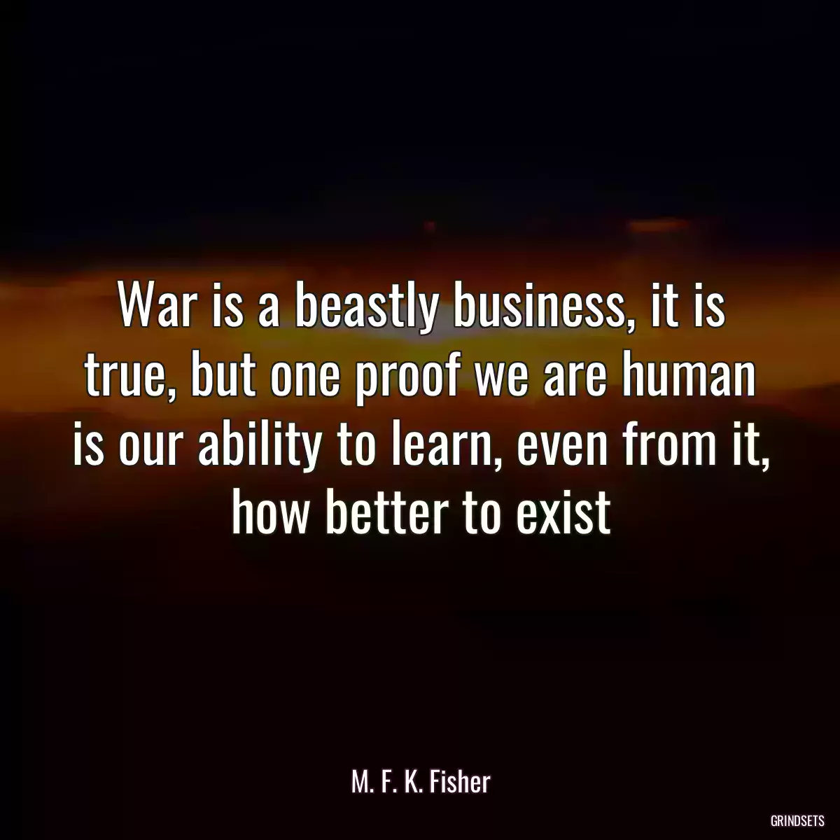 War is a beastly business, it is true, but one proof we are human is our ability to learn, even from it, how better to exist