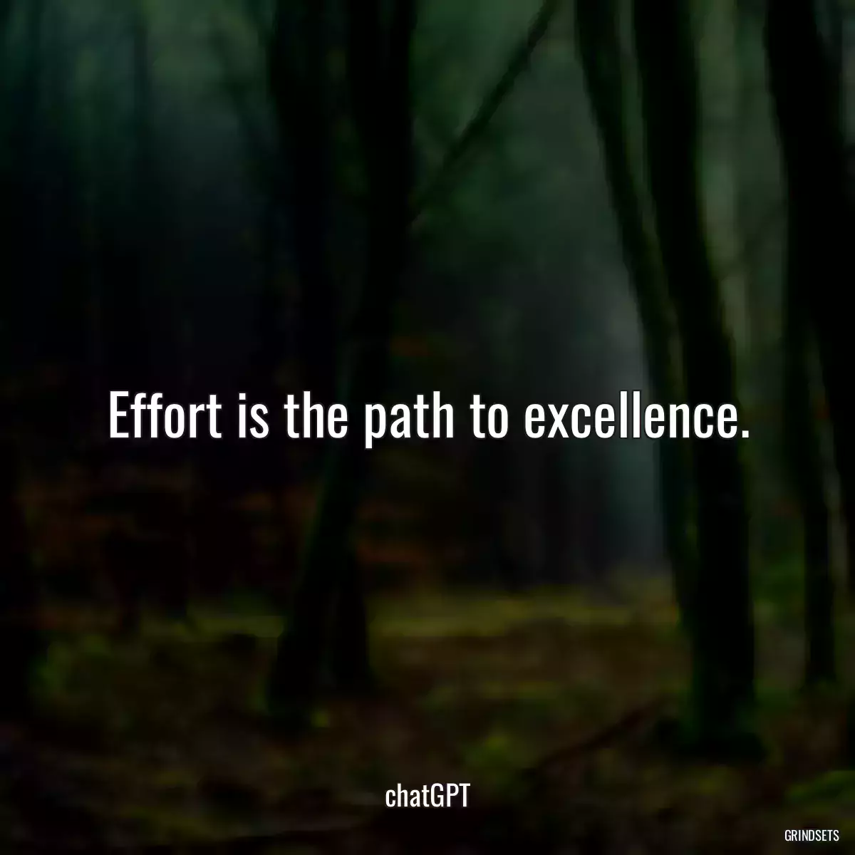 Effort is the path to excellence.