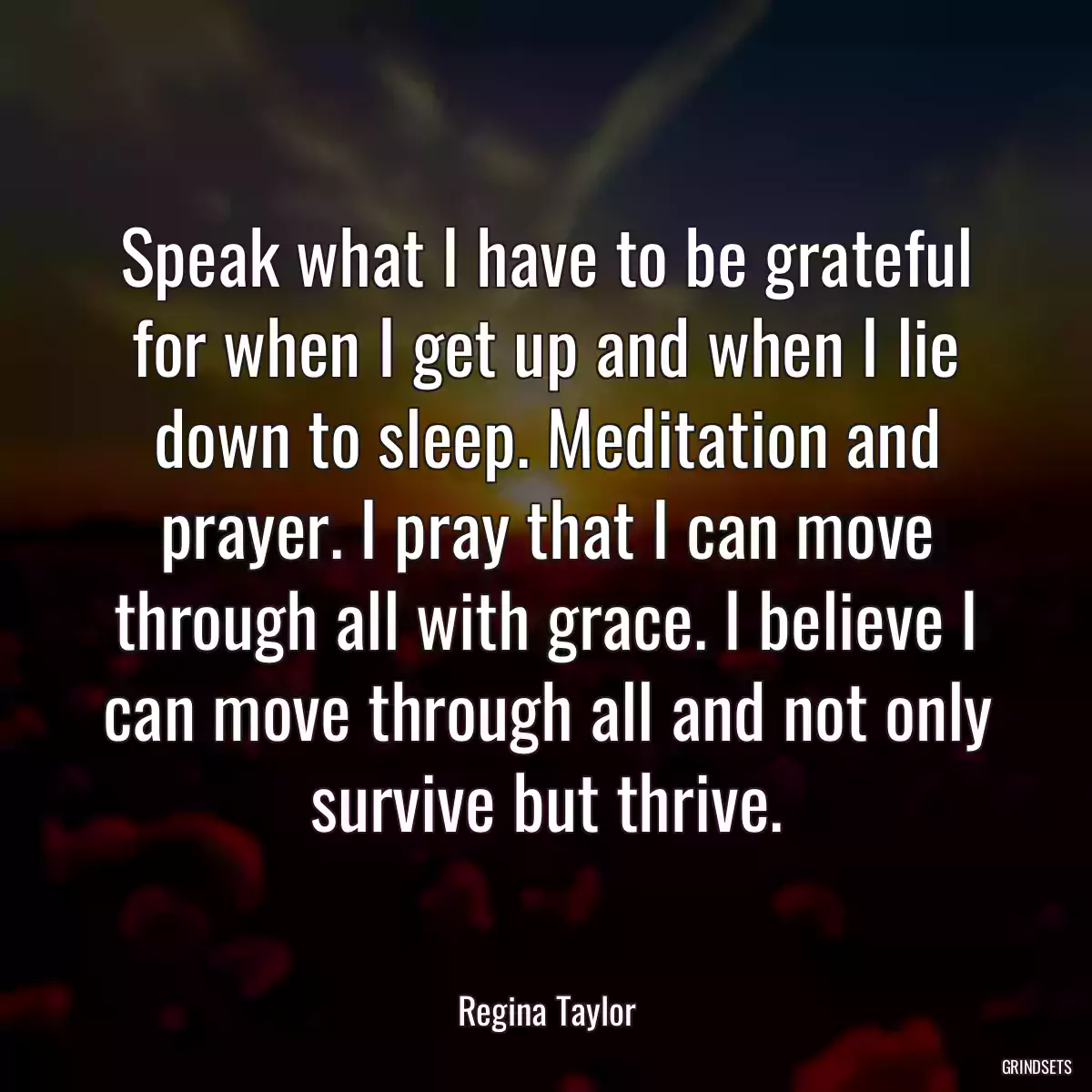 Speak what I have to be grateful for when I get up and when I lie down to sleep. Meditation and prayer. I pray that I can move through all with grace. I believe I can move through all and not only survive but thrive.