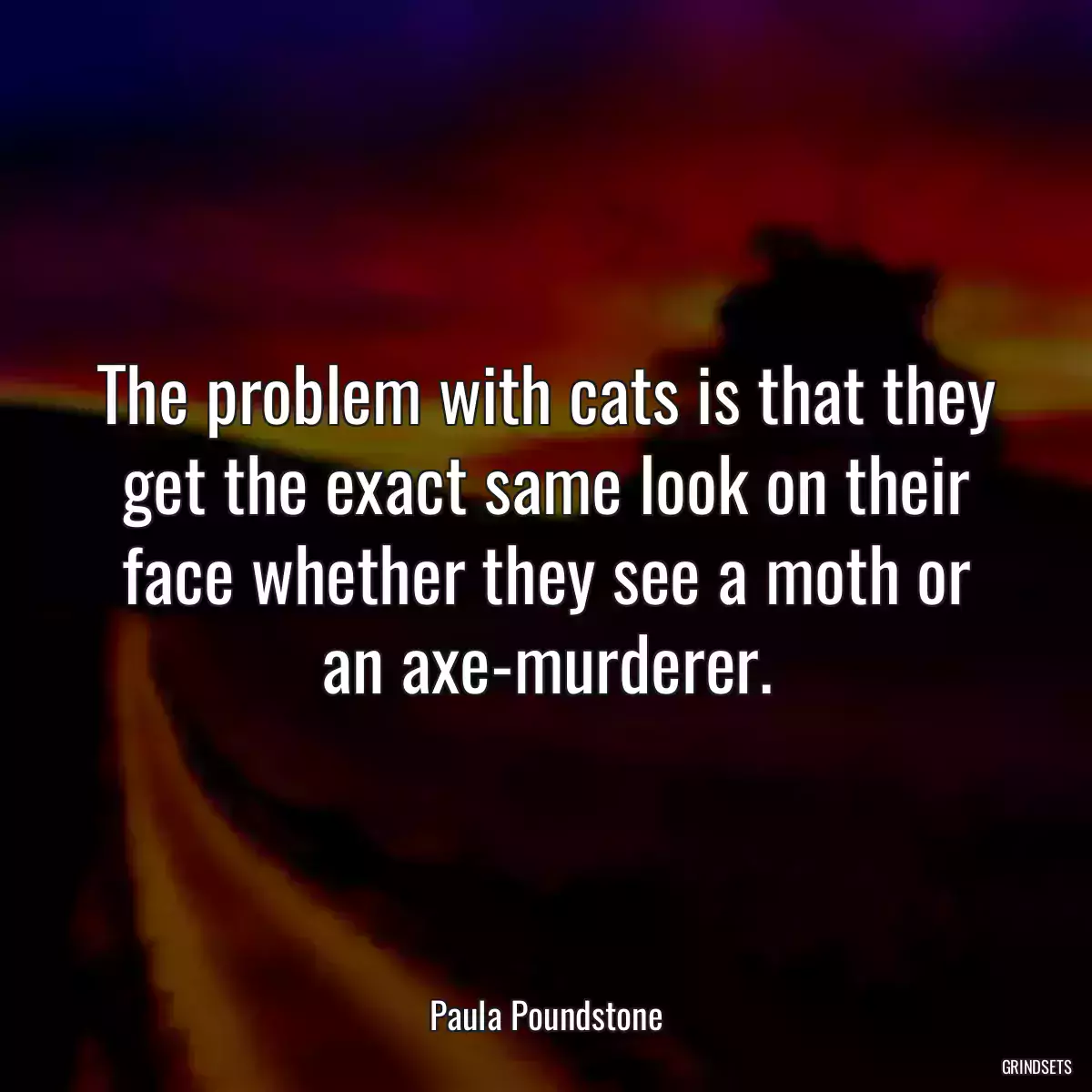 The problem with cats is that they get the exact same look on their face whether they see a moth or an axe-murderer.