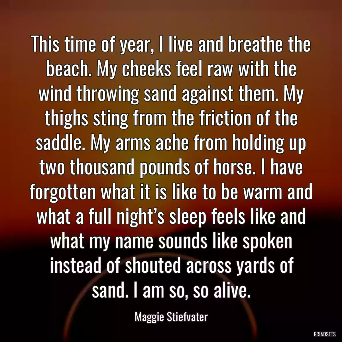 This time of year, I live and breathe the beach. My cheeks feel raw with the wind throwing sand against them. My thighs sting from the friction of the saddle. My arms ache from holding up two thousand pounds of horse. I have forgotten what it is like to be warm and what a full night’s sleep feels like and what my name sounds like spoken instead of shouted across yards of sand. I am so, so alive.