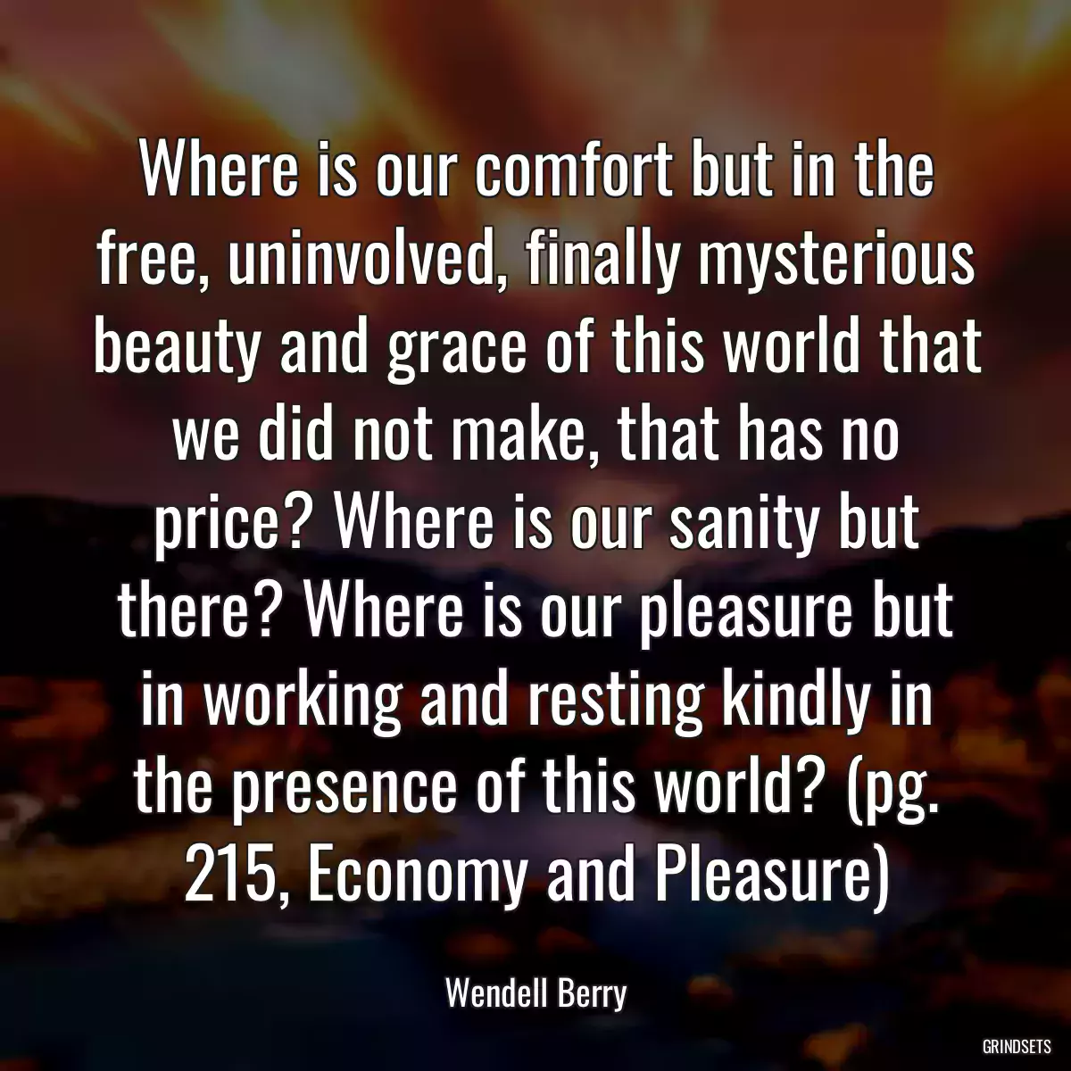 Where is our comfort but in the free, uninvolved, finally mysterious beauty and grace of this world that we did not make, that has no price? Where is our sanity but there? Where is our pleasure but in working and resting kindly in the presence of this world? (pg. 215, Economy and Pleasure)