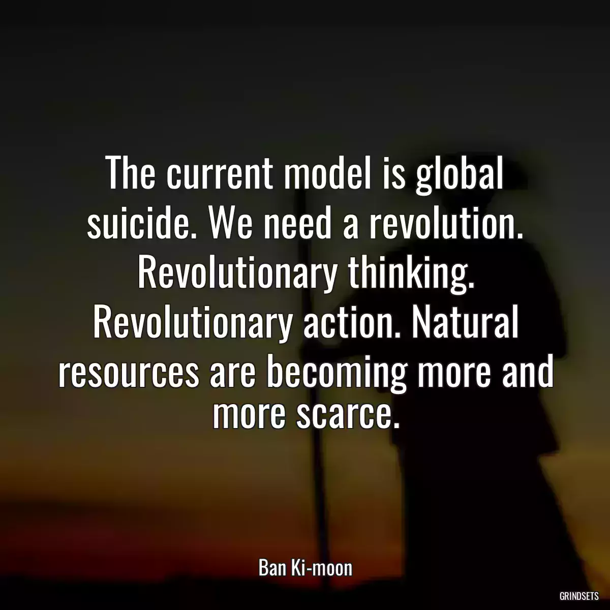 The current model is global suicide. We need a revolution. Revolutionary thinking. Revolutionary action. Natural resources are becoming more and more scarce.