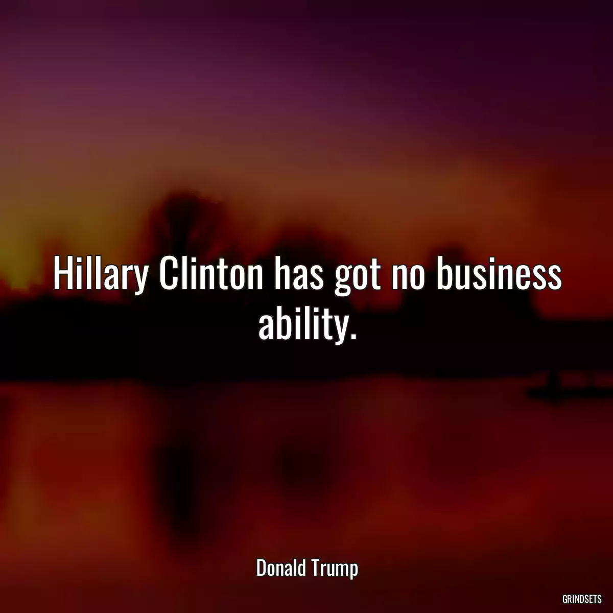 Hillary Clinton has got no business ability.