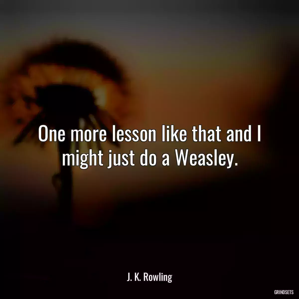 One more lesson like that and I might just do a Weasley.