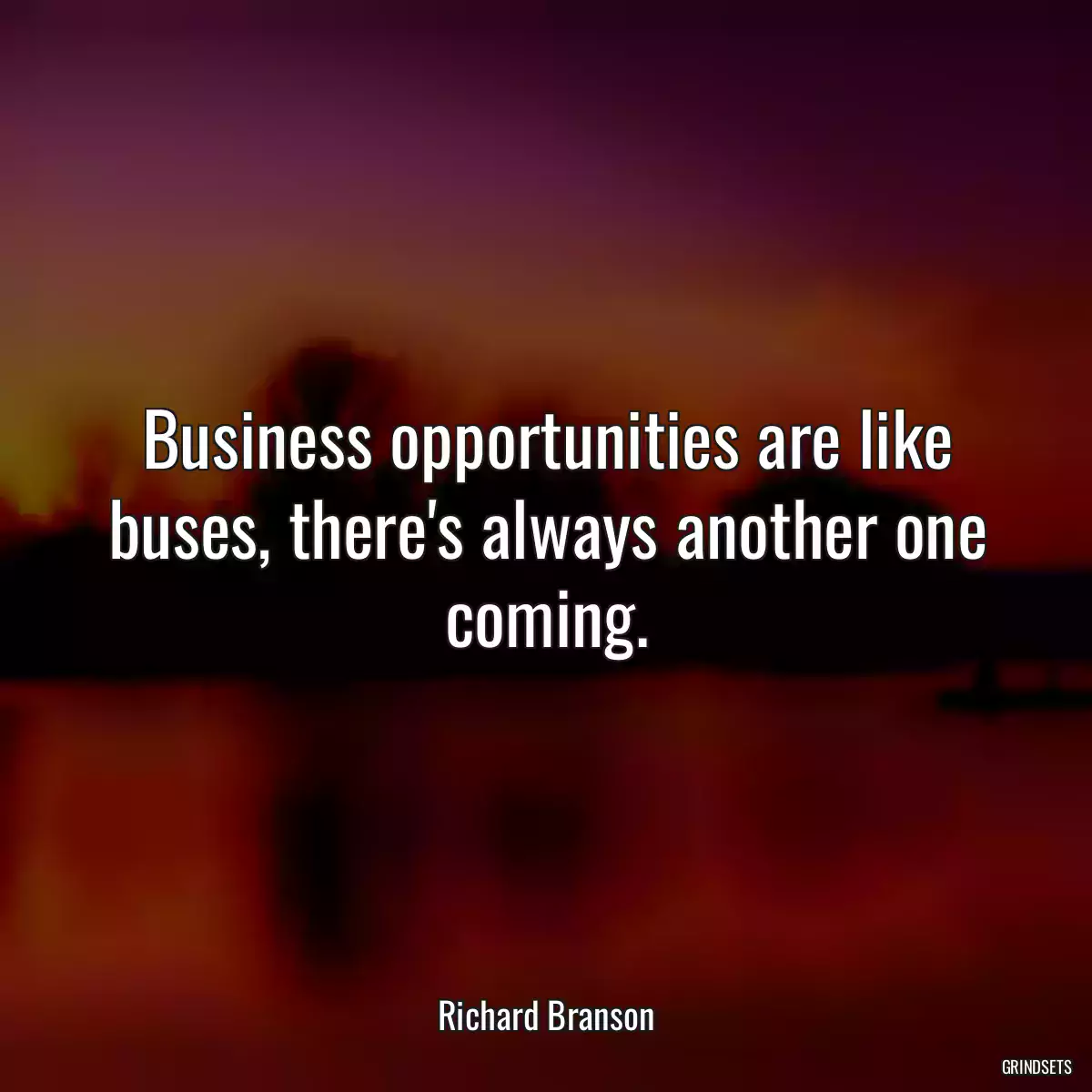 Business opportunities are like buses, there\'s always another one coming.