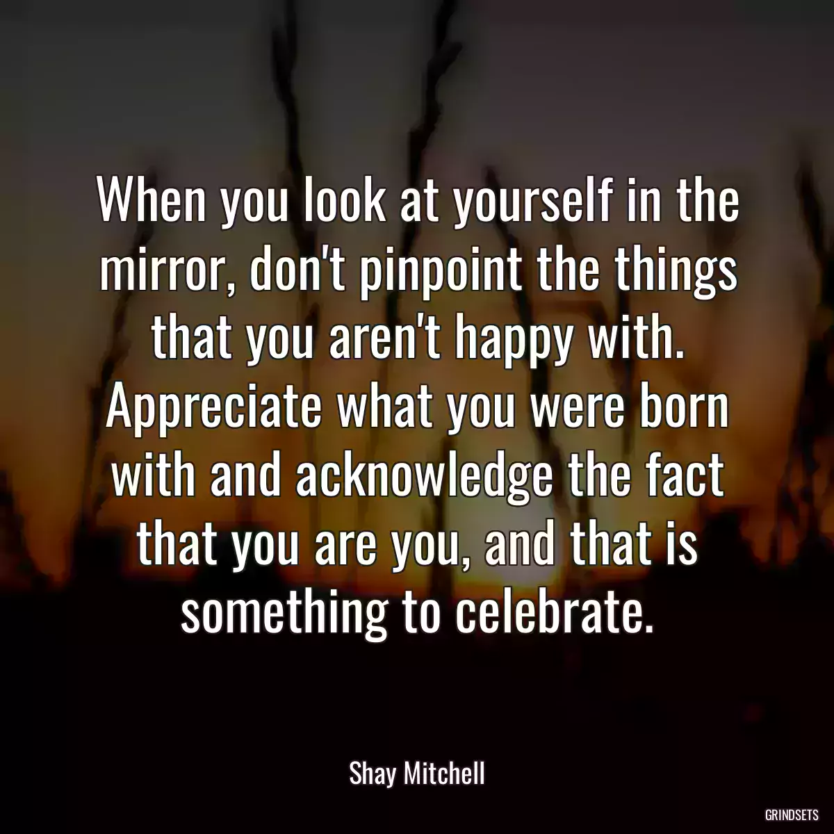 When you look at yourself in the mirror, don\'t pinpoint the things that you aren\'t happy with. Appreciate what you were born with and acknowledge the fact that you are you, and that is something to celebrate.