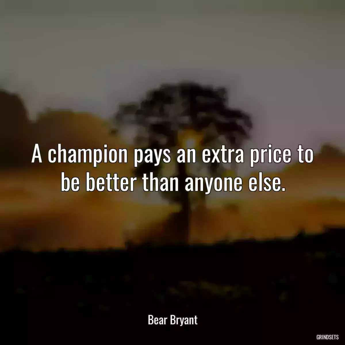 A champion pays an extra price to be better than anyone else.