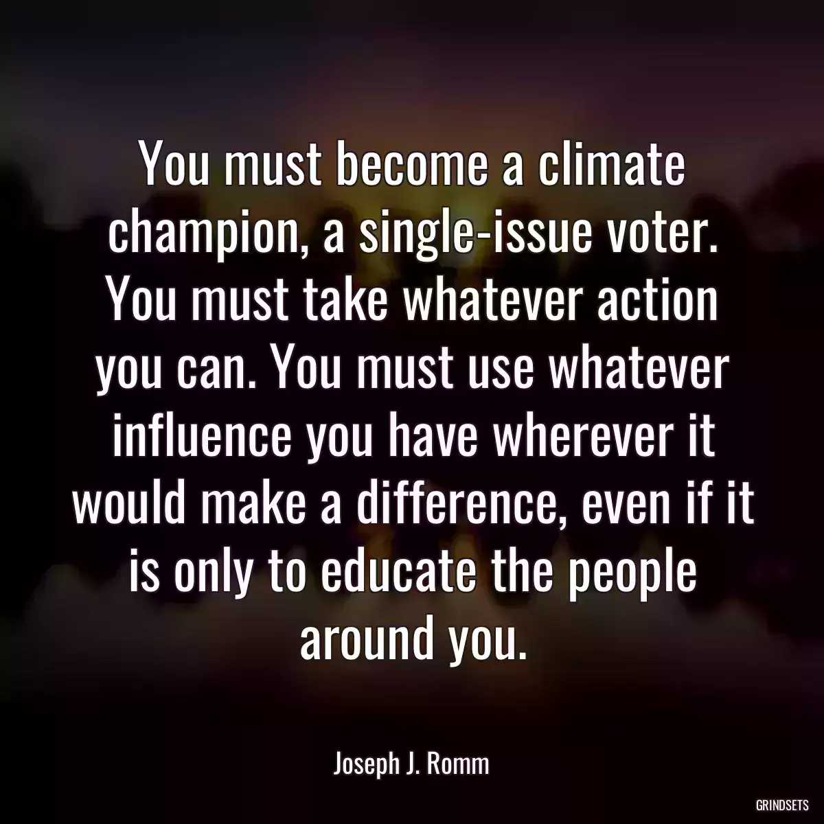 You must become a climate champion, a single-issue voter. You must take whatever action you can. You must use whatever influence you have wherever it would make a difference, even if it is only to educate the people around you.