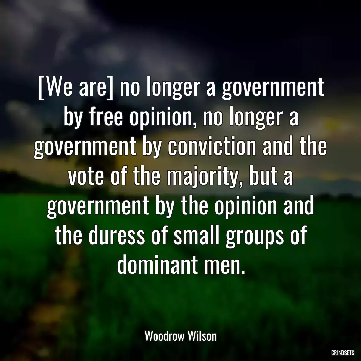 [We are] no longer a government by free opinion, no longer a government by conviction and the vote of the majority, but a government by the opinion and the duress of small groups of dominant men.