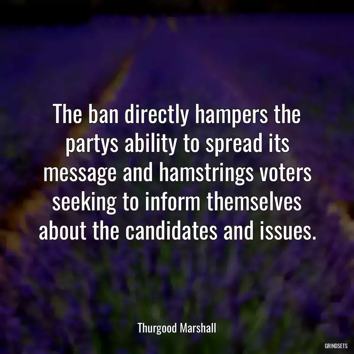 The ban directly hampers the partys ability to spread its message and hamstrings voters seeking to inform themselves about the candidates and issues.