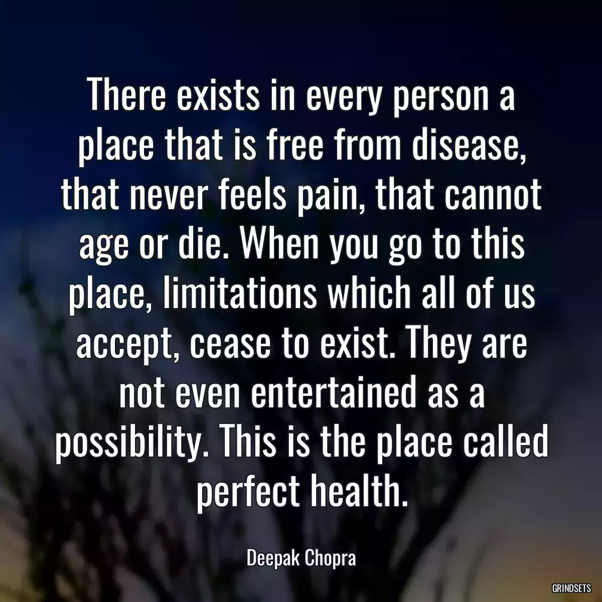 There exists in every person a place that is free from disease, that never feels pain, that cannot age or die. When you go to this place, limitations which all of us accept, cease to exist. They are not even entertained as a possibility. This is the place called perfect health.