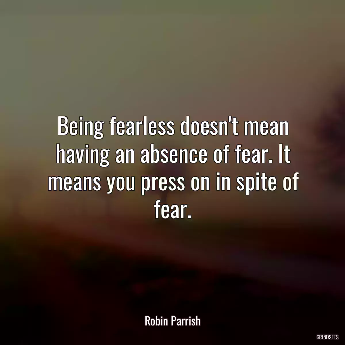 Being fearless doesn\'t mean having an absence of fear. It means you press on in spite of fear.