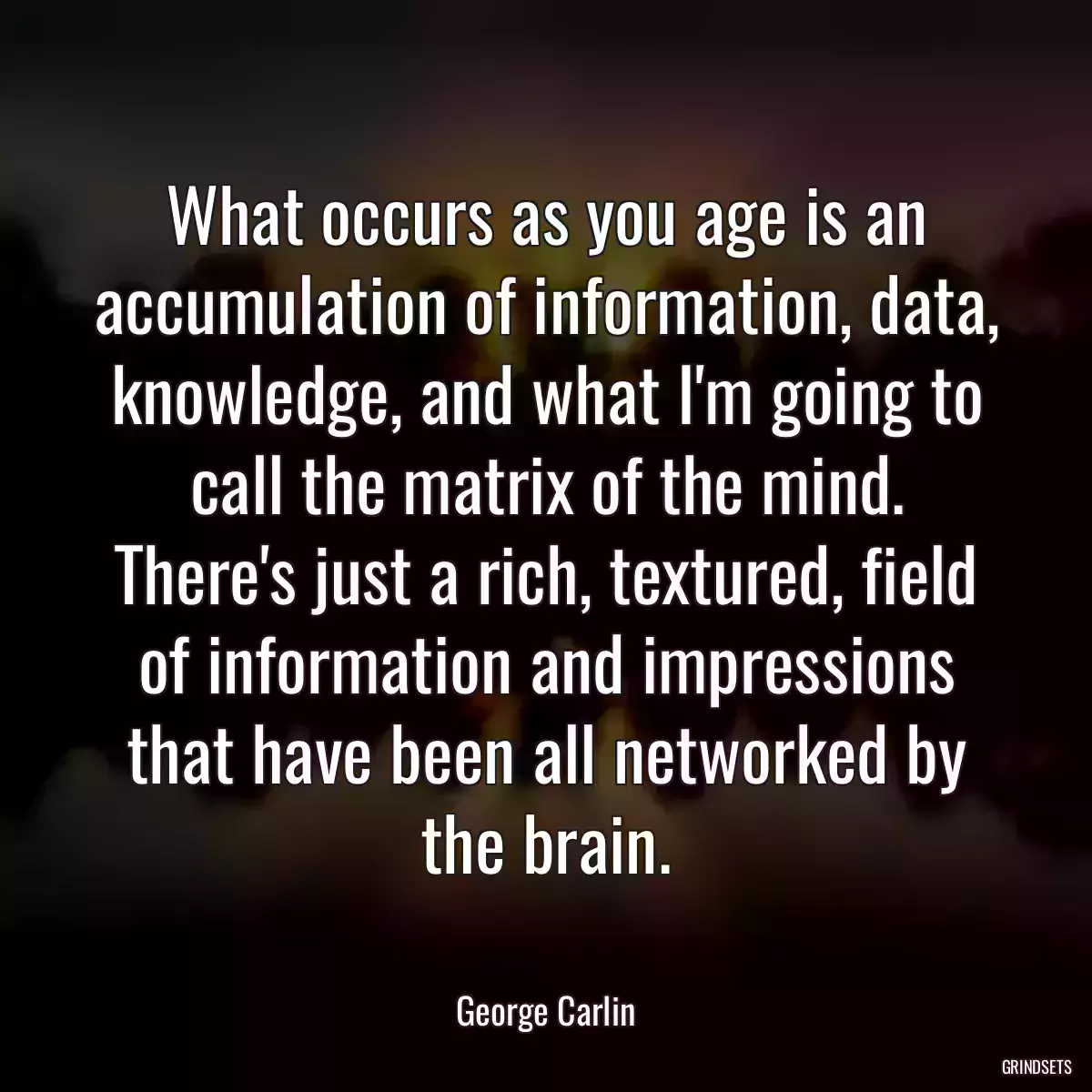 What occurs as you age is an accumulation of information, data, knowledge, and what I\'m going to call the matrix of the mind. There\'s just a rich, textured, field of information and impressions that have been all networked by the brain.