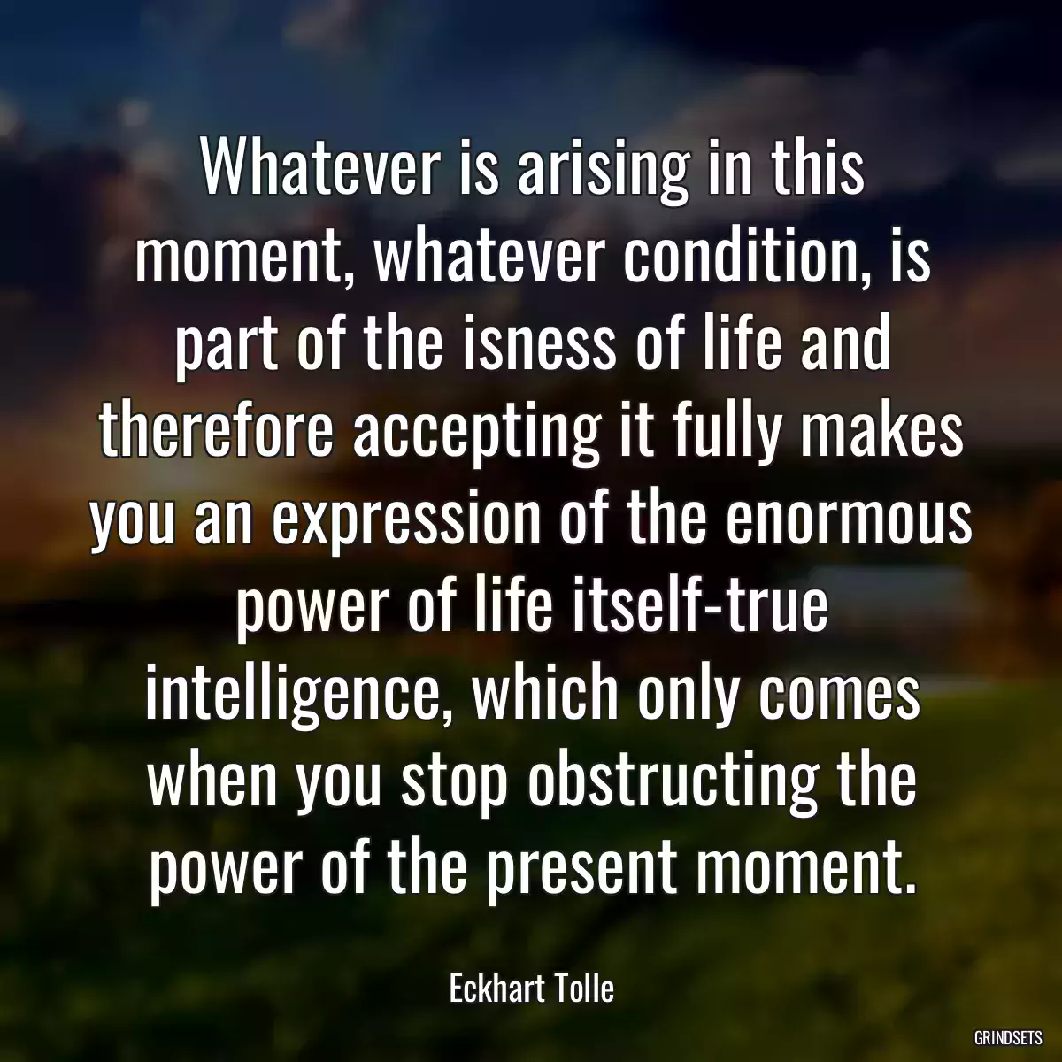 Whatever is arising in this moment, whatever condition, is part of the isness of life and therefore accepting it fully makes you an expression of the enormous power of life itself-true intelligence, which only comes when you stop obstructing the power of the present moment.