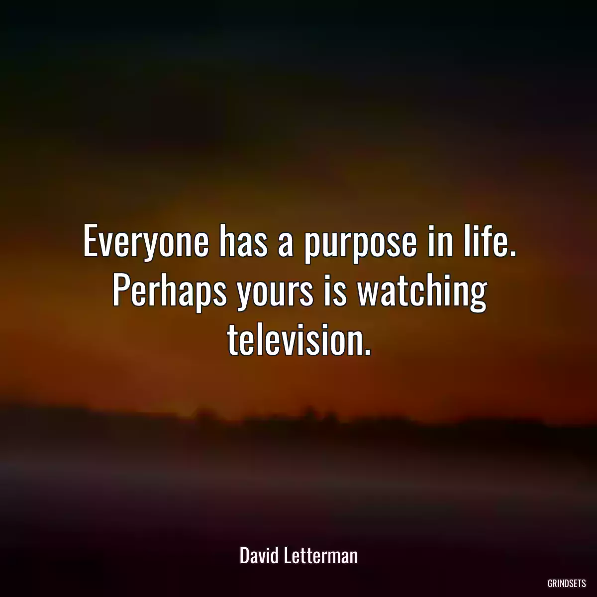 Everyone has a purpose in life. Perhaps yours is watching television.