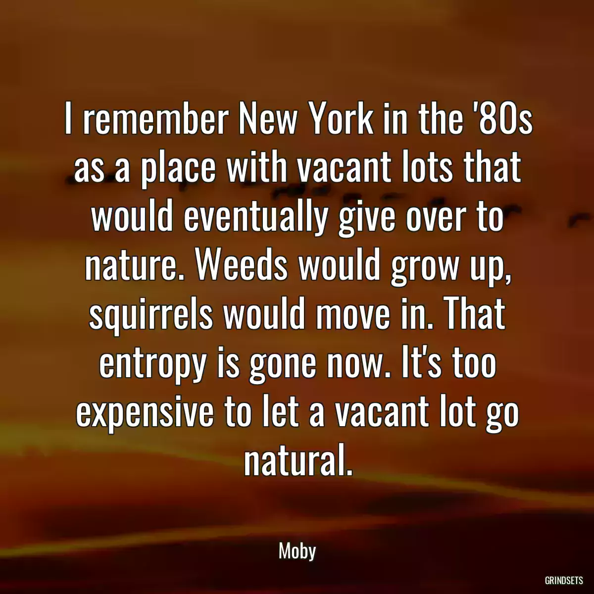 I remember New York in the \'80s as a place with vacant lots that would eventually give over to nature. Weeds would grow up, squirrels would move in. That entropy is gone now. It\'s too expensive to let a vacant lot go natural.