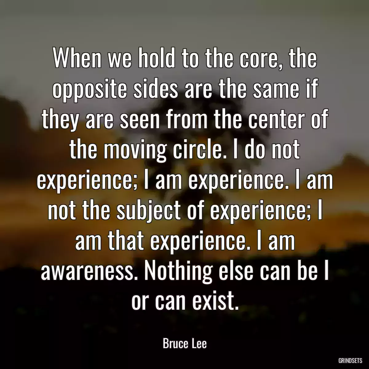 When we hold to the core, the opposite sides are the same if they are seen from the center of the moving circle. I do not experience; I am experience. I am not the subject of experience; I am that experience. I am awareness. Nothing else can be I or can exist.