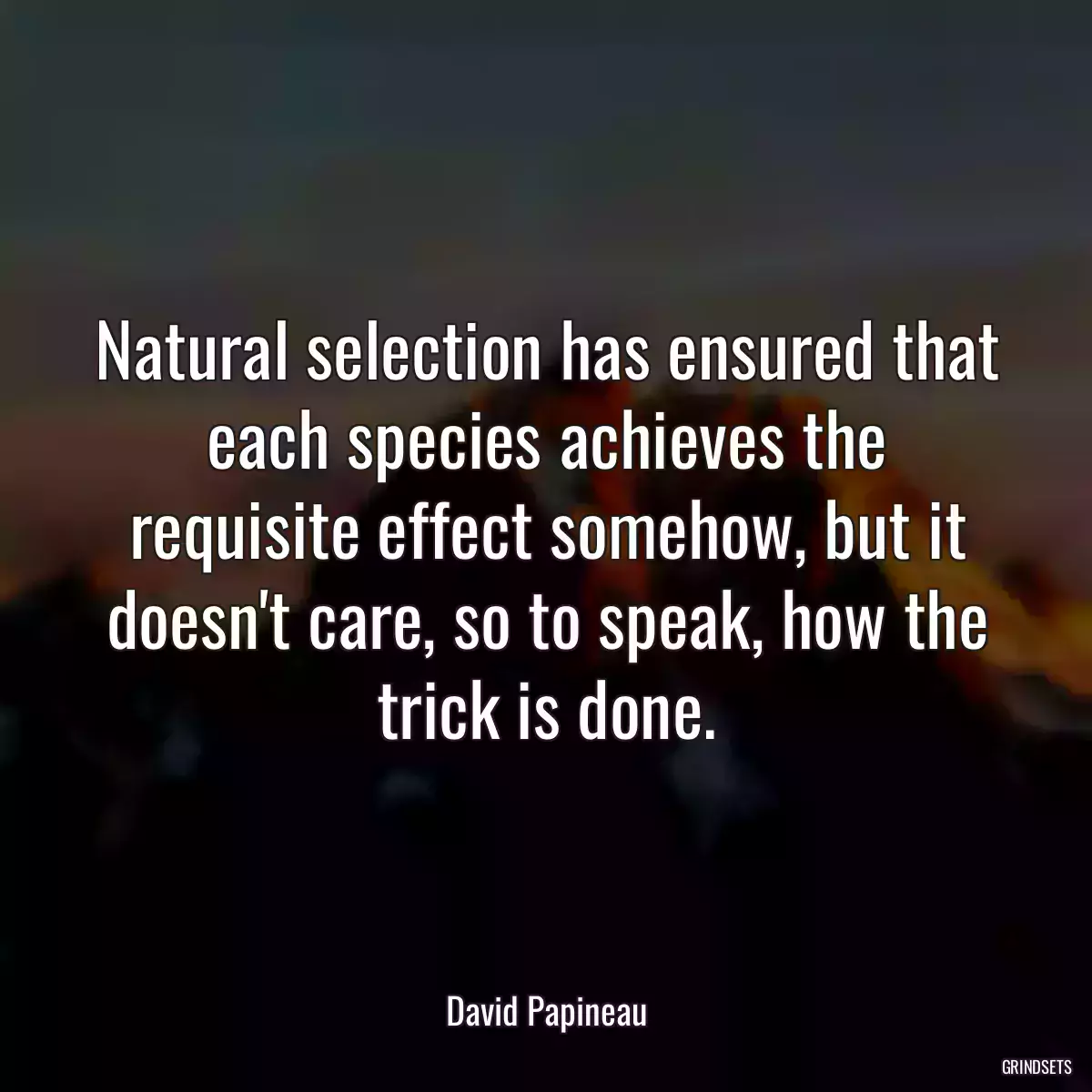 Natural selection has ensured that each species achieves the requisite effect somehow, but it doesn\'t care, so to speak, how the trick is done.