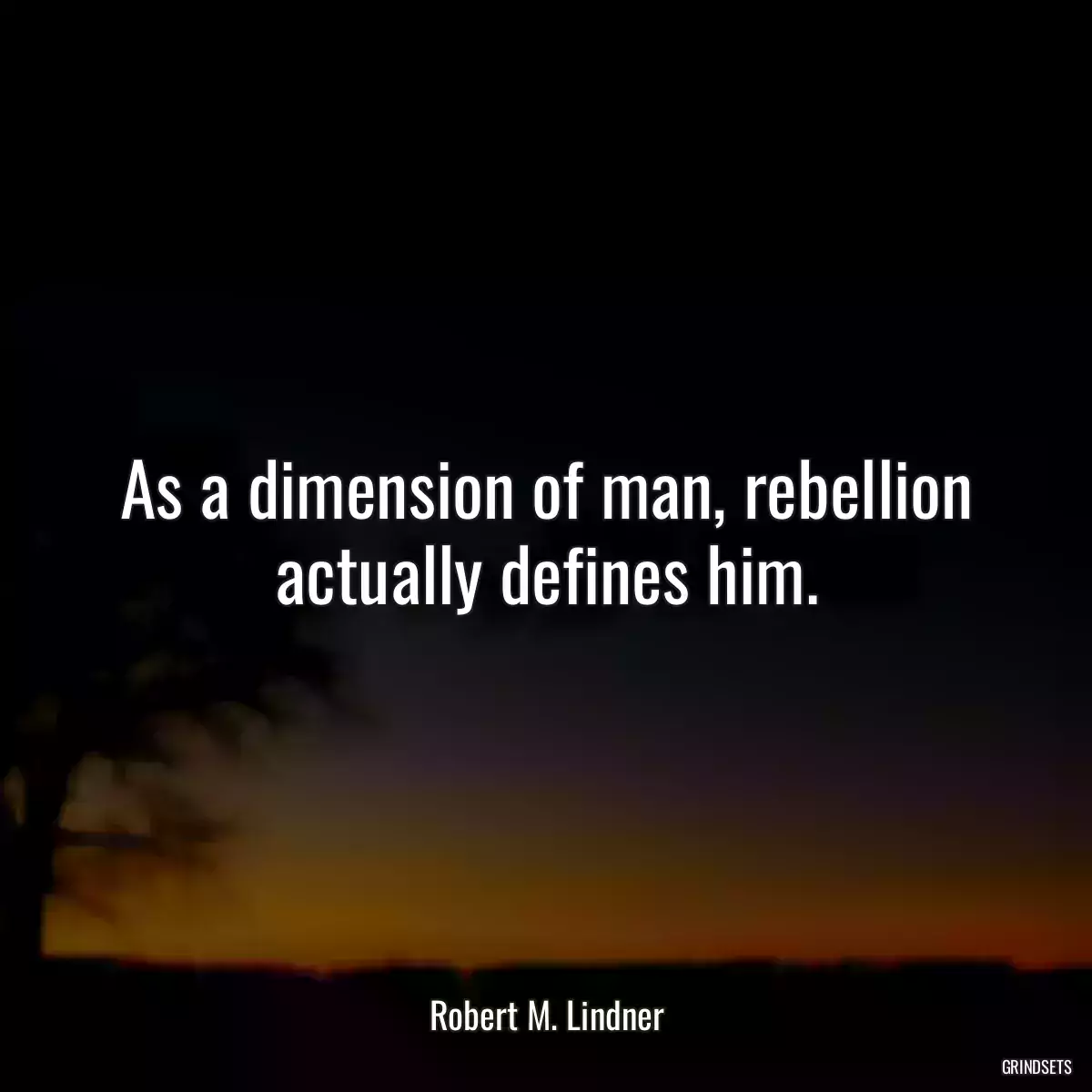 As a dimension of man, rebellion actually defines him.