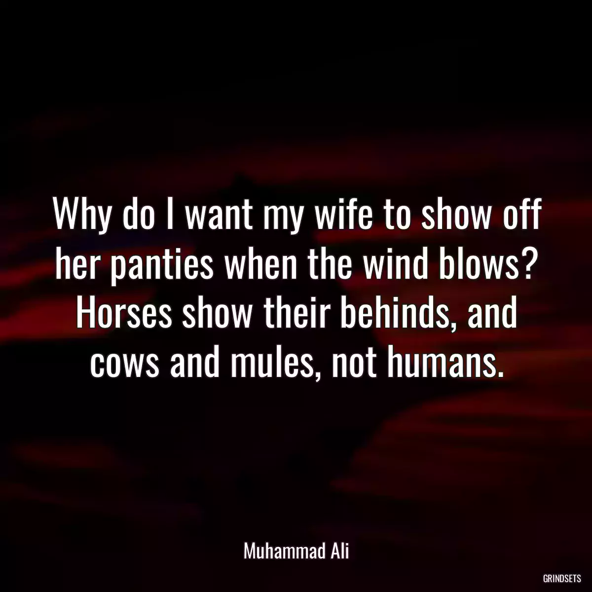 Why do I want my wife to show off her panties when the wind blows? Horses show their behinds, and cows and mules, not humans.