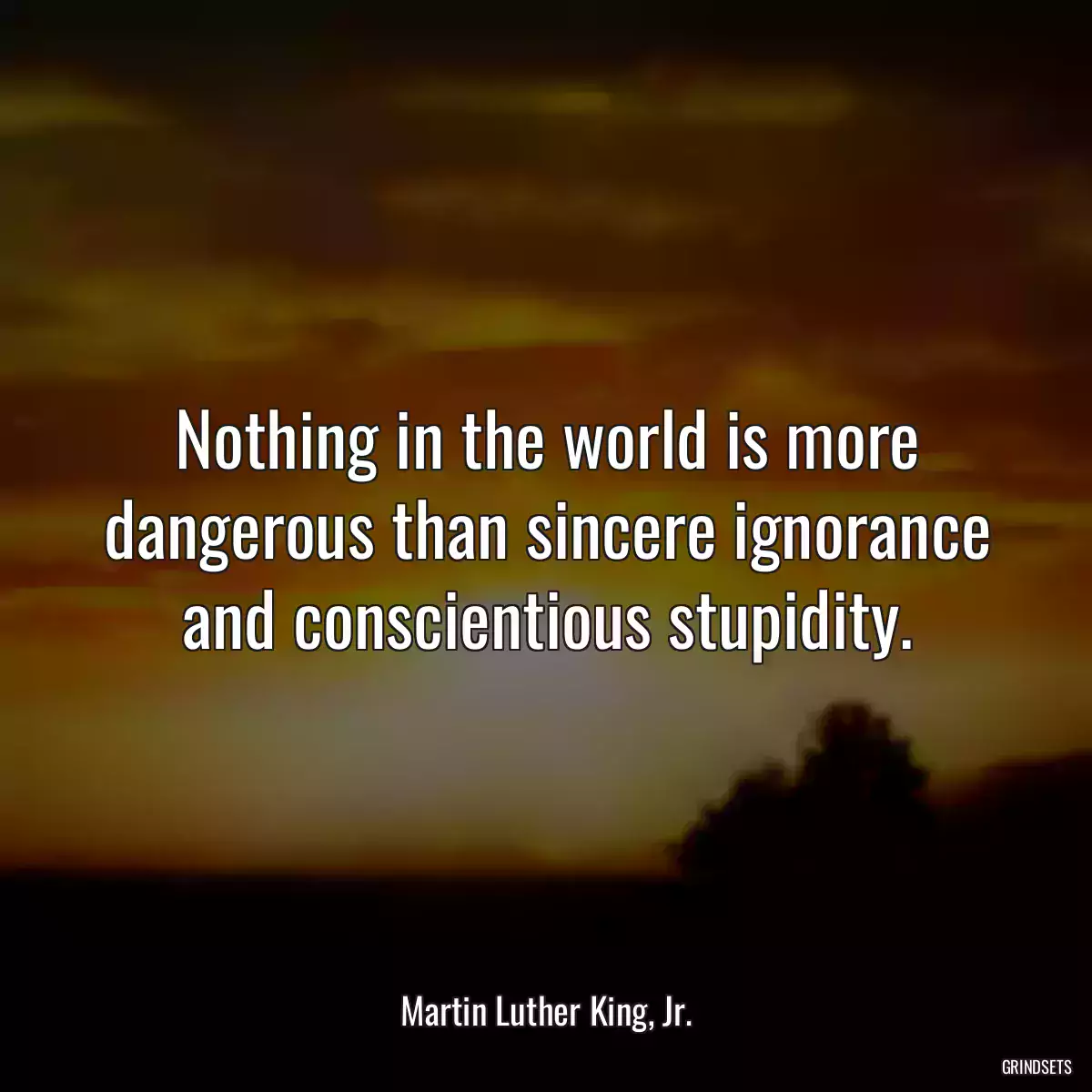 Nothing in the world is more dangerous than sincere ignorance and conscientious stupidity.