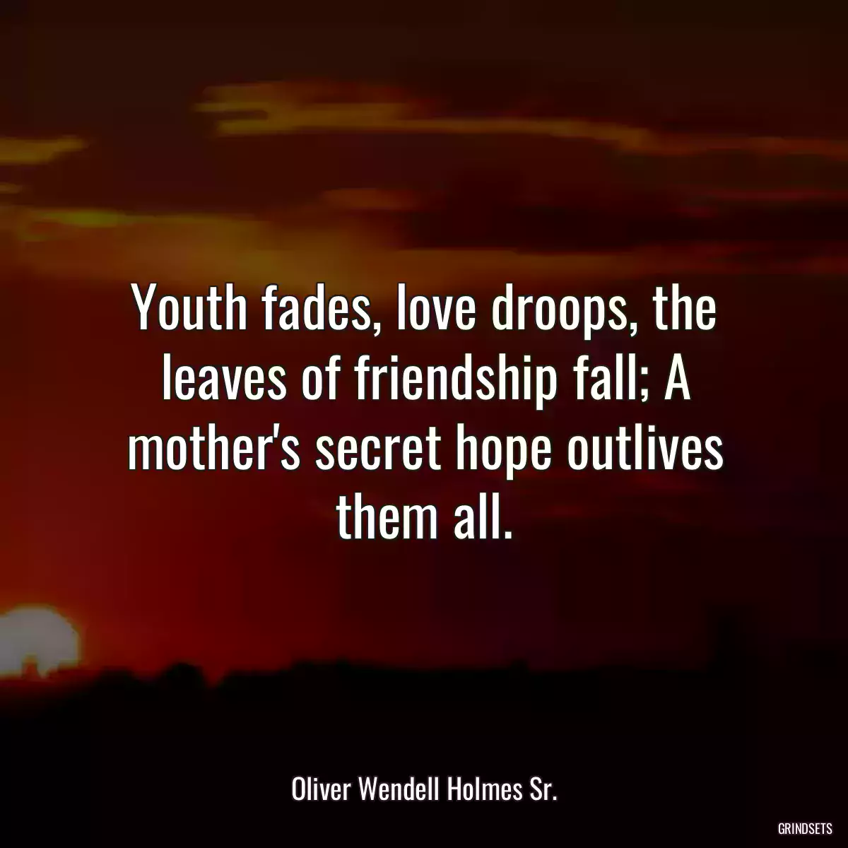 Youth fades, love droops, the leaves of friendship fall; A mother\'s secret hope outlives them all.